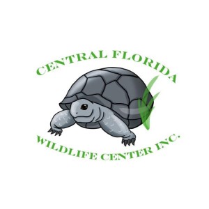 centralfloridawildlifecenterinc