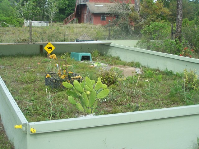 rescued gopher pens